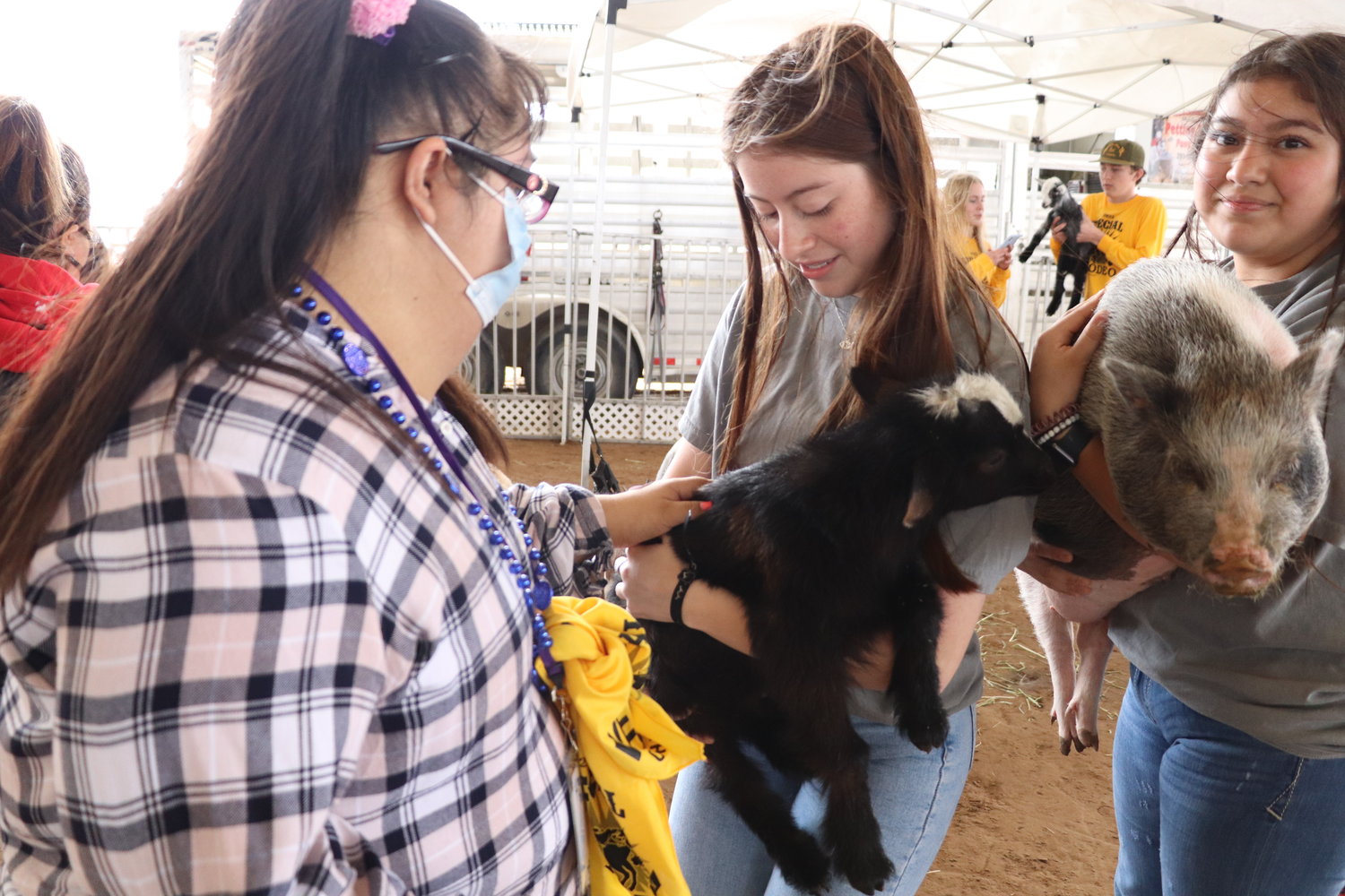 Petting goats, pigs, and other livestock is a big part of the Katy Special Rodeo.
